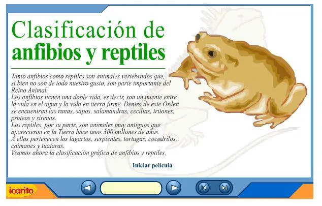 Clasificación de anfibios y reptiles | Recurso educativo 39463 ...