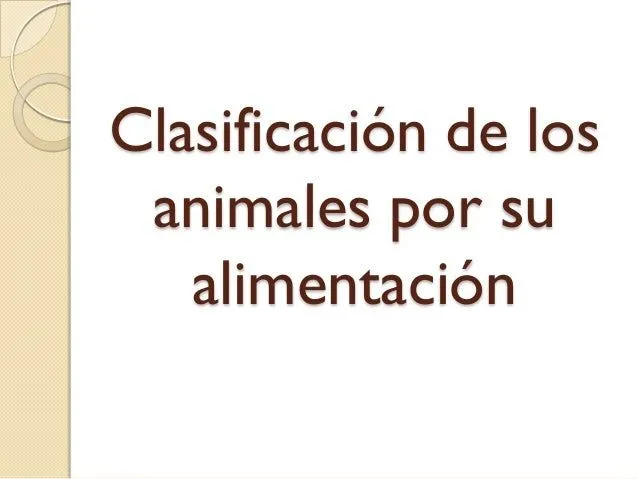 Clasificación de los animales