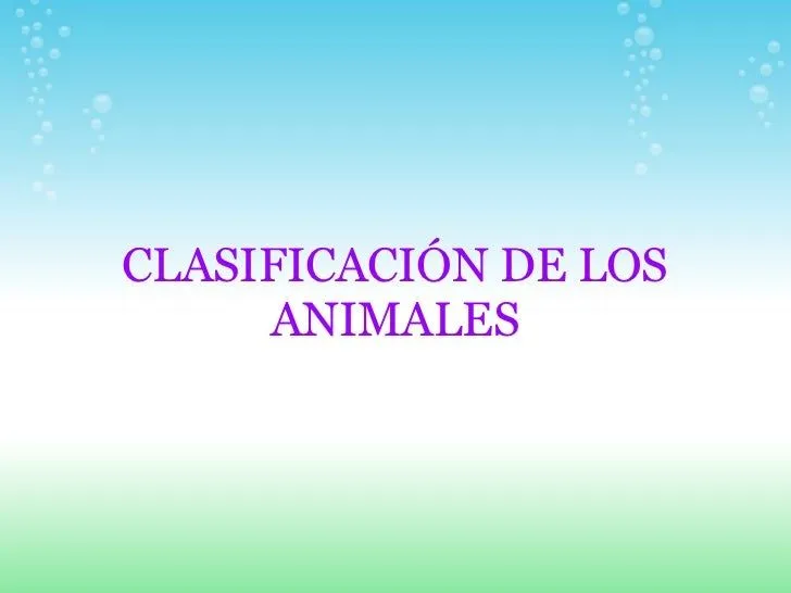 La Clasificación de los animales