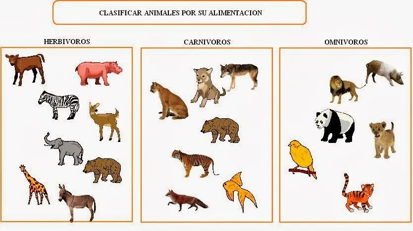 Diferencia entre carnivoro, herbivoros y omnivoros - Imagui