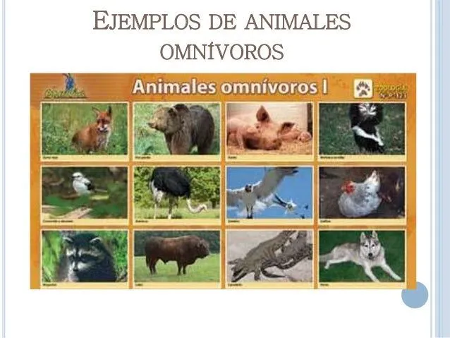 Clasificación de los animales. isabel villar villar