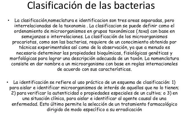 Clasificación de las bacterias