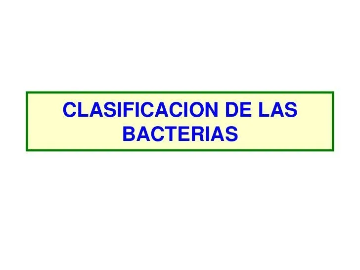 Clasificacion de las bacterias