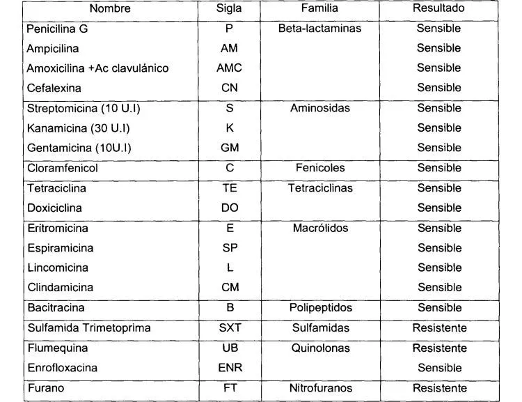 Bacterias lacteas del genero lactococcus lactis y su aplicacion a ...