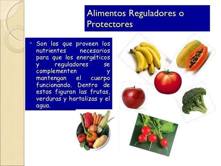 clasificacion-de-los-alimentos ...