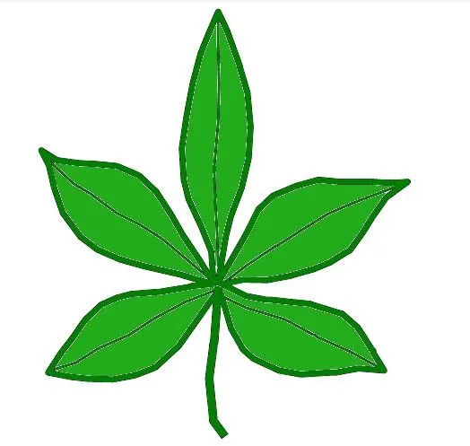 Clasificacion de hojas por su forma : El Mundo y sus Plantas