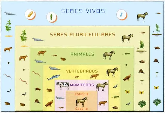 Clase de 5ºB: marzo 2011