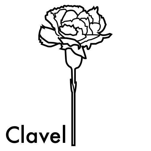 Clavel para colorear - Imagui