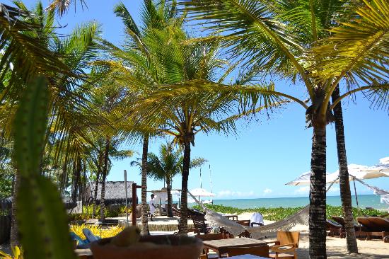 Clima calido - Picture of Villas de Trancoso, Trancoso - TripAdvisor