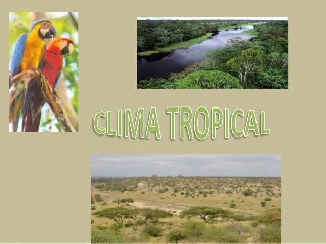 clima-tropical-1-638.jpg?cb= ...