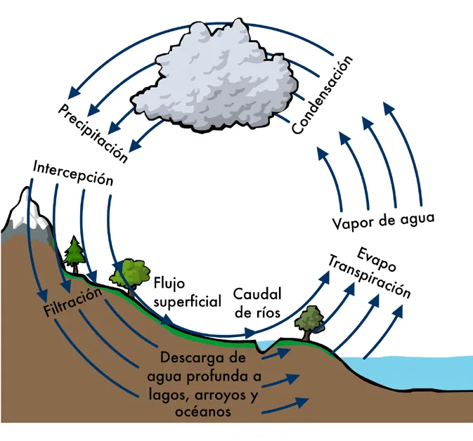 Climántica :: El ciclo hidrológico