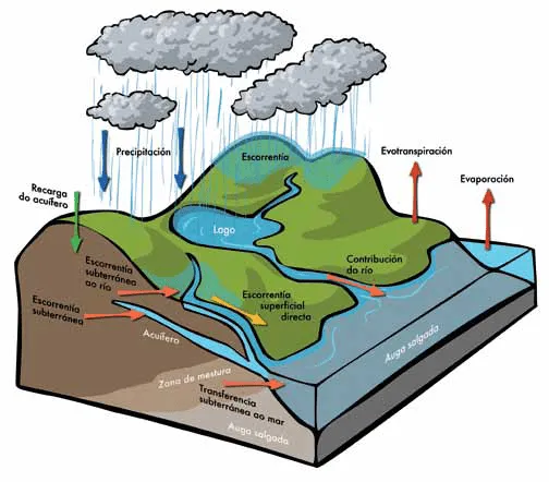 Climántica :: Los procesos del ciclo hidrológico