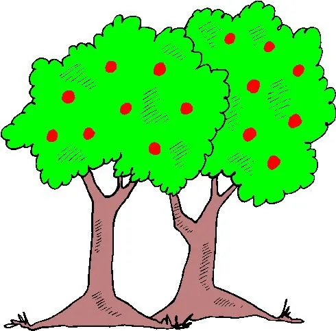 Clip Art - Clip art trees 230333