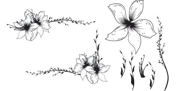 Clip art floral gratis | Diseño, ilustraciones vectoriales y recursos ...