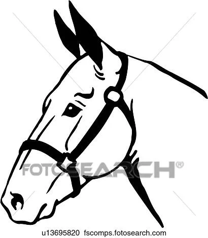 Clipart - animal, mula, head, u13695820 - Buscar Clip Art ...