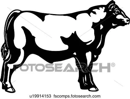 Clipart - animal, toro, ganado, vaca, granja, livestock, u19914153 ...