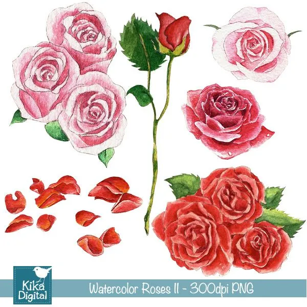 Clipart Rosas II - Aquarela | Kika Digital | Elo7