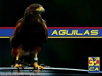 Club de Fútbol América :::: Aguilas - Club America