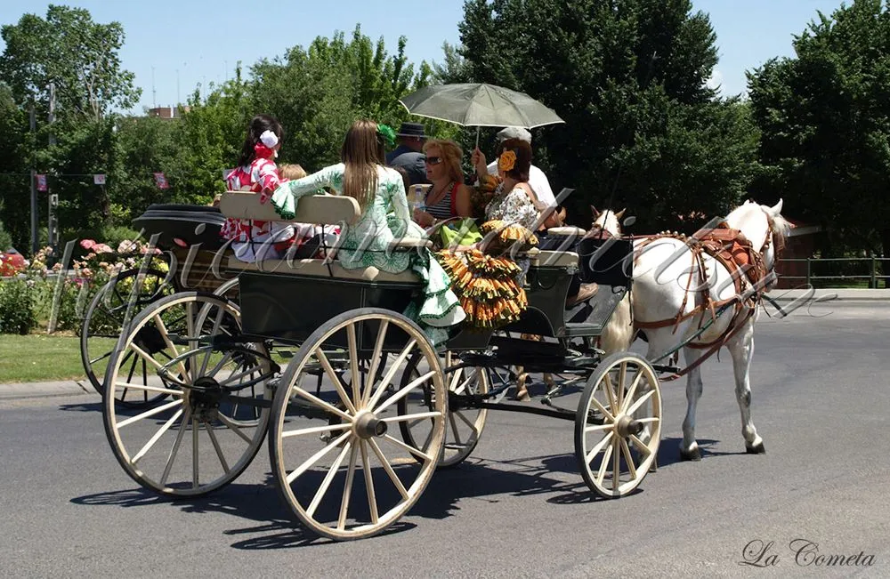 Club Hípico Madrid Sur "Coches de Caballos"