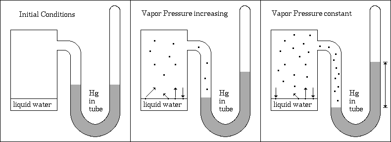 CLUSTER - divulgación científica: Presión de vapor - Handboiler