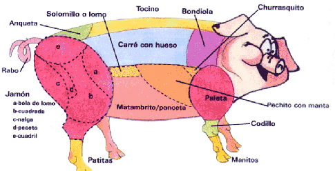 El cochino | eva en la fuente