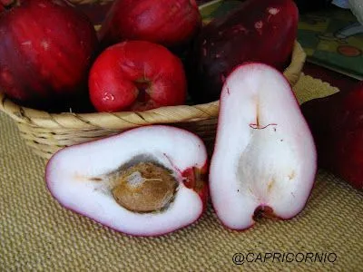 Cocina Costarricense: manzana de agua