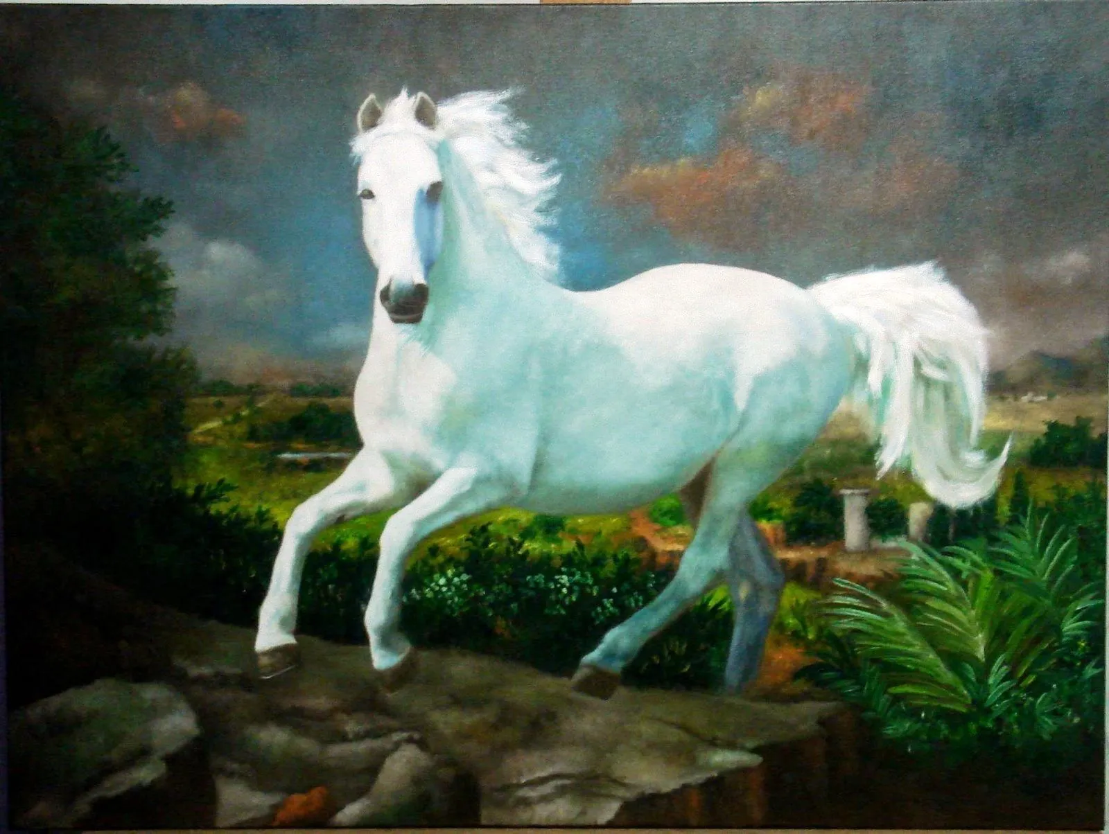 COISA DE ZOOTECNISTA: Cavalo Branco