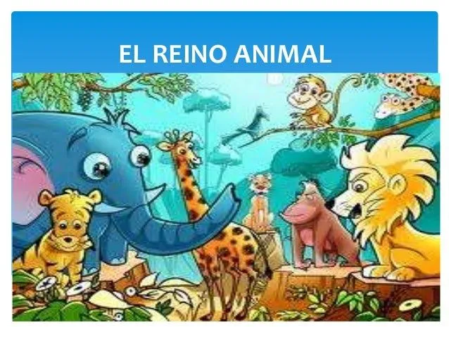 El reino animal