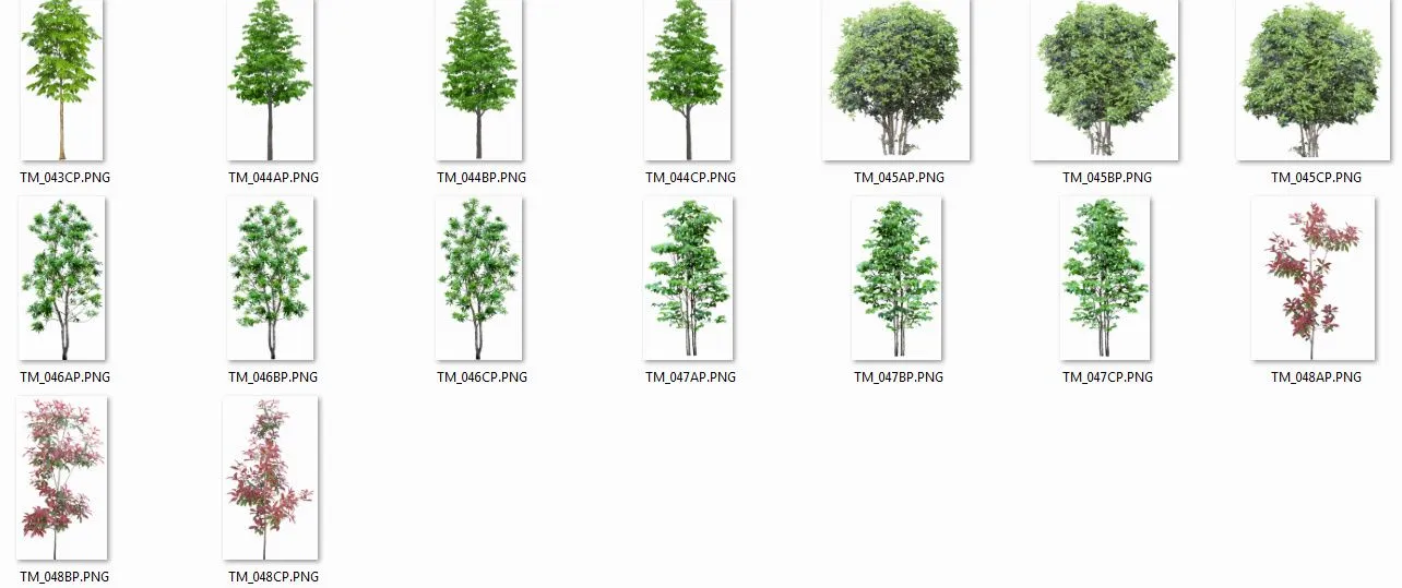 COLECCIÓN DE ÁRBOLES con fondo transparente [PNG] | arq + recursos