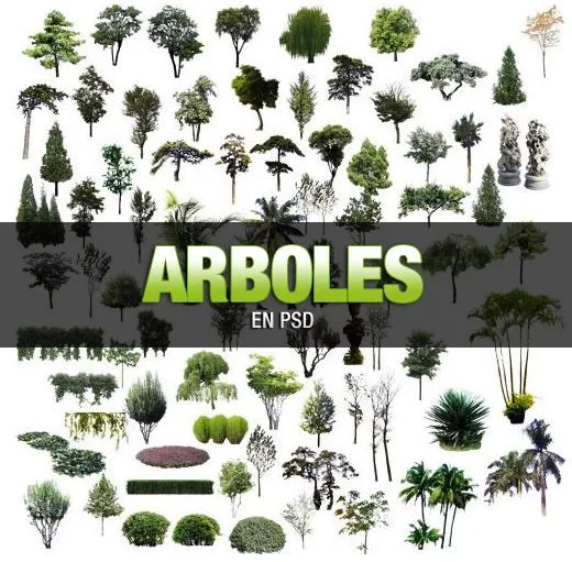 Colección de Arboles en PSD y PNG | Pedro Puig