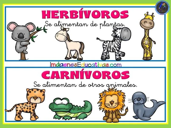 Colección de tarjetas para trabajar los animales – Imagenes Educativas