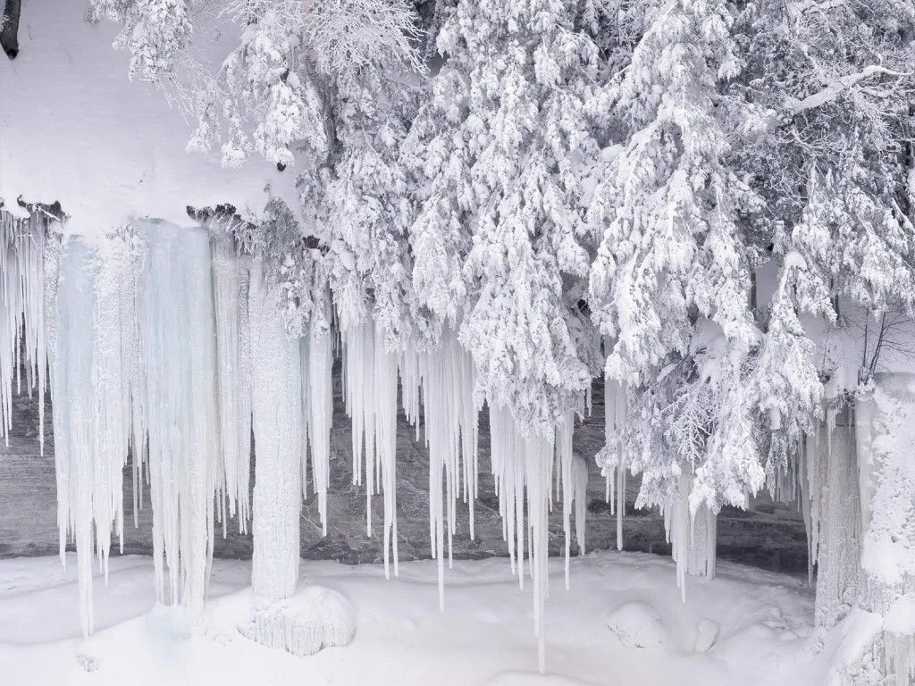 El Coleccionista de imágenes: Imágenes invernales