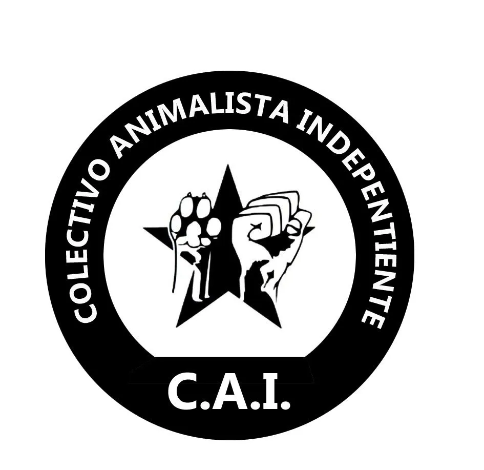 Colectivo Animalista Independiente. 15-M VLC.: junio 2011