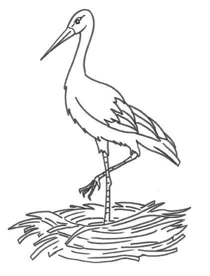 Colegio Cristo Rey y San Rafael: septiembre 2015