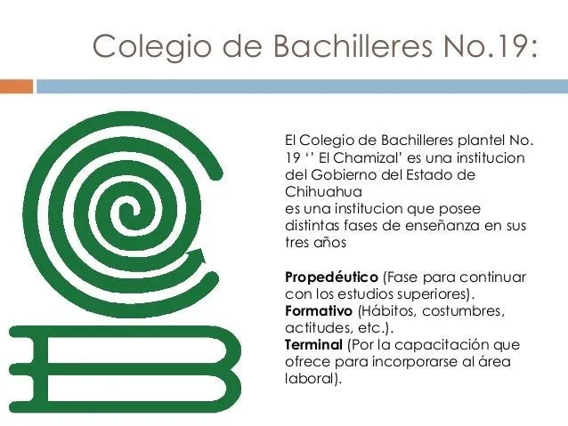 colegio-de-bachileres-del- ...