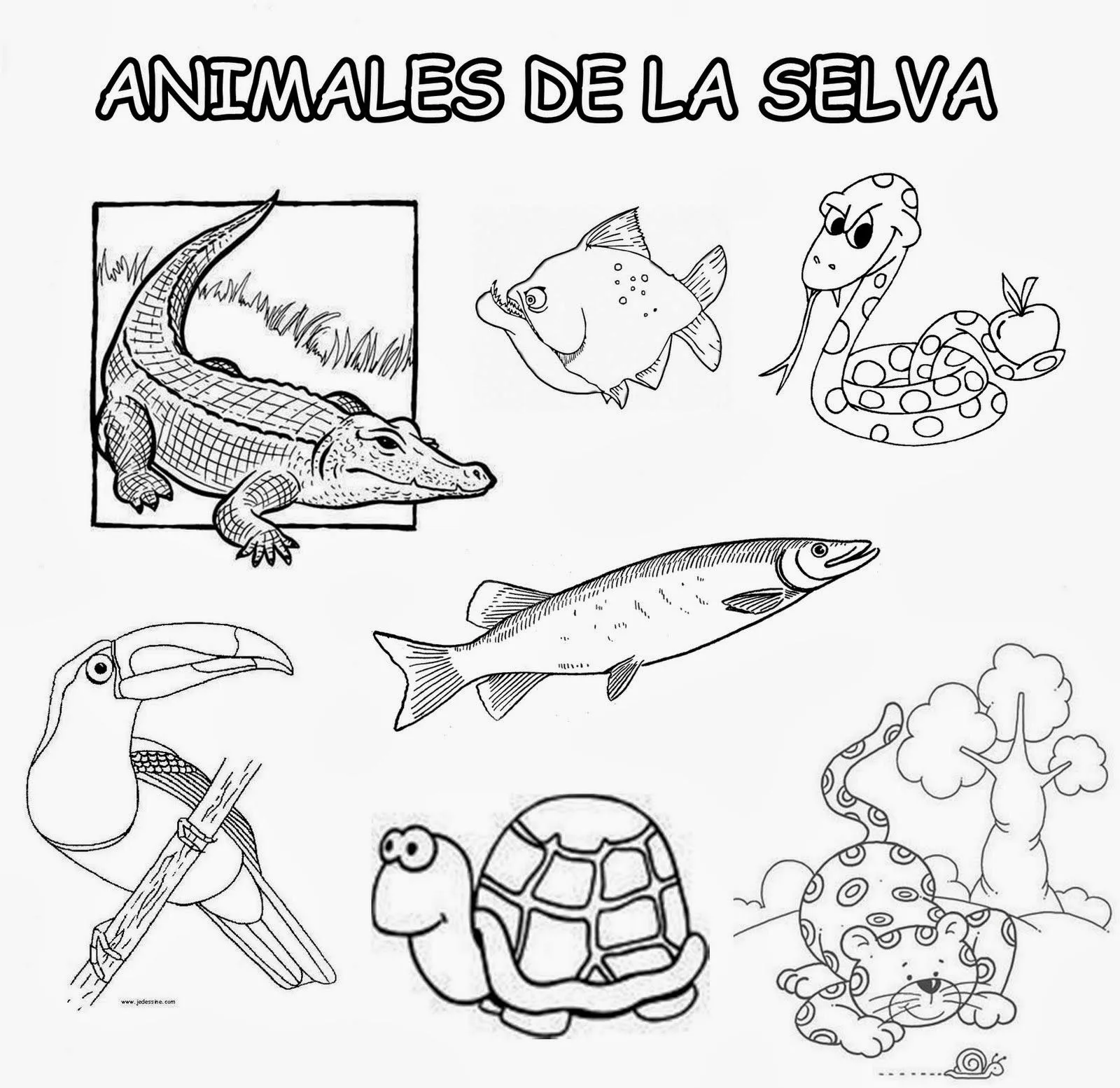 Colegio Inmaculada Concepción. 4 años : Dibujos de animales del ...