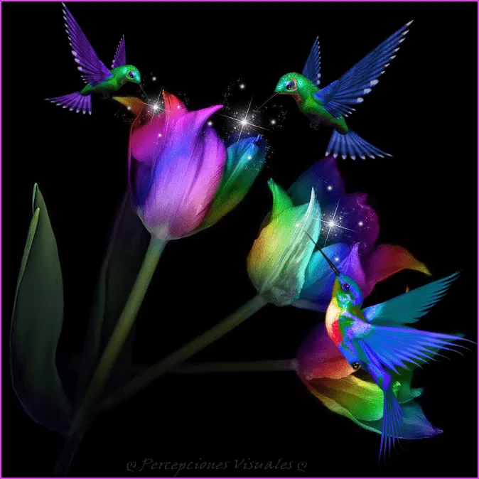 El Colibrí | ♥Ƹ̵̡Ӝ̵̨̄Ʒ♥ ღ Ƹɳ Մɳ Ɽïɳ¢óɳ Ðҽɭ Ѧɭᶆą ღ ♥Ƹ̵̡Ӝ̵̨̄Ʒ♥