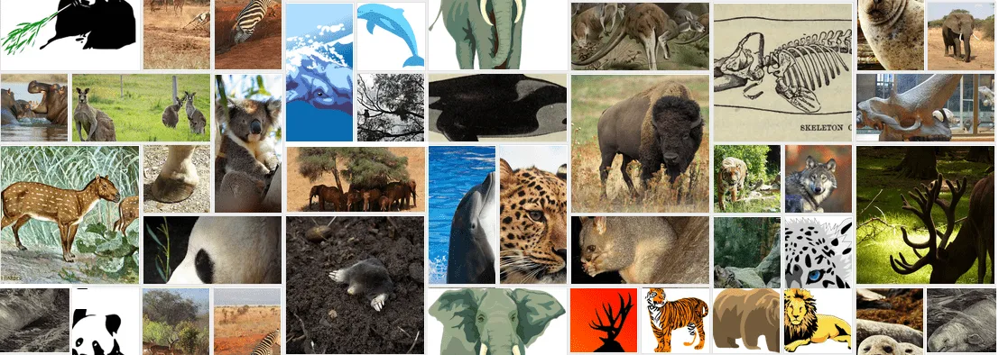 Collage de animales mamíferos fondo página Web | Imagenes Sin ...