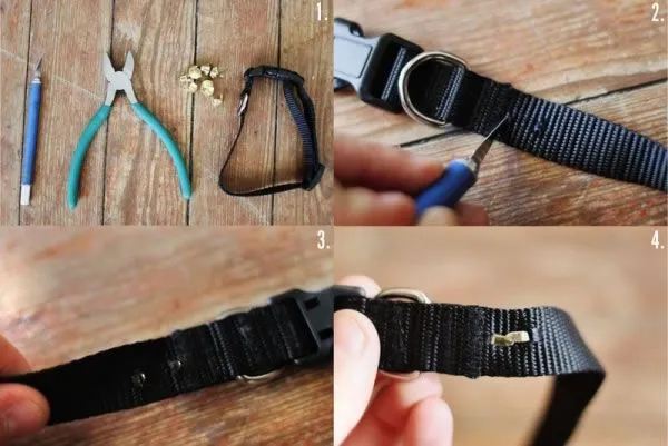 Cómo hacer un collar para tu perrito - Guía de MANUALIDADES