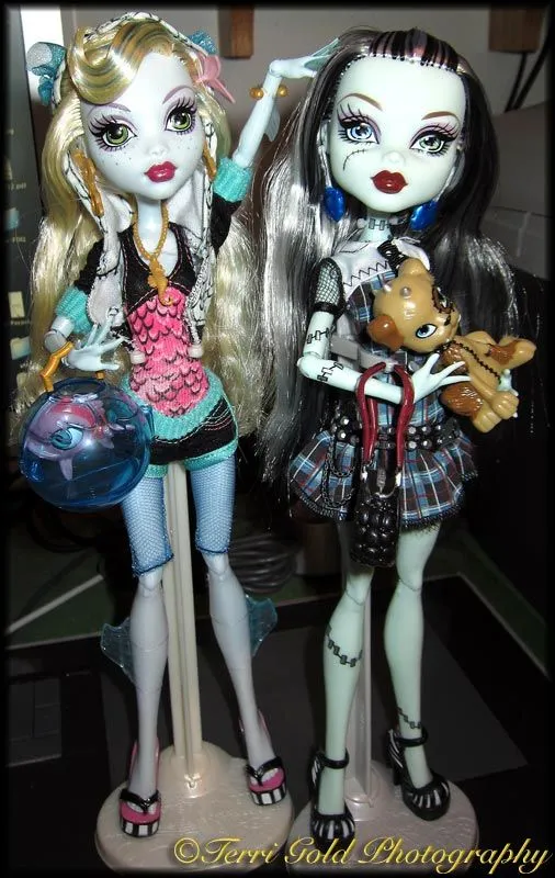 Collecting Fashion Dolls by Terri Gold: 2010-