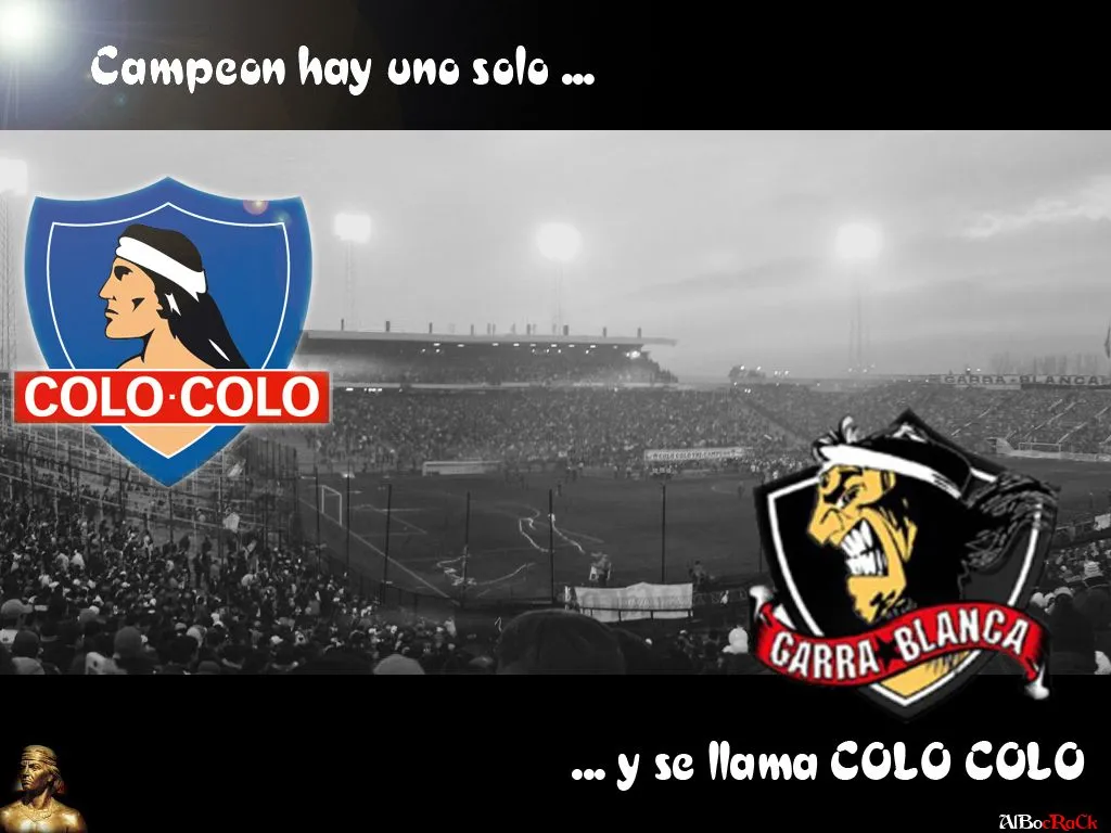 COLO-COLO Raza Brava - WALLPAPER Y AFICHES - WALLPAPER ...