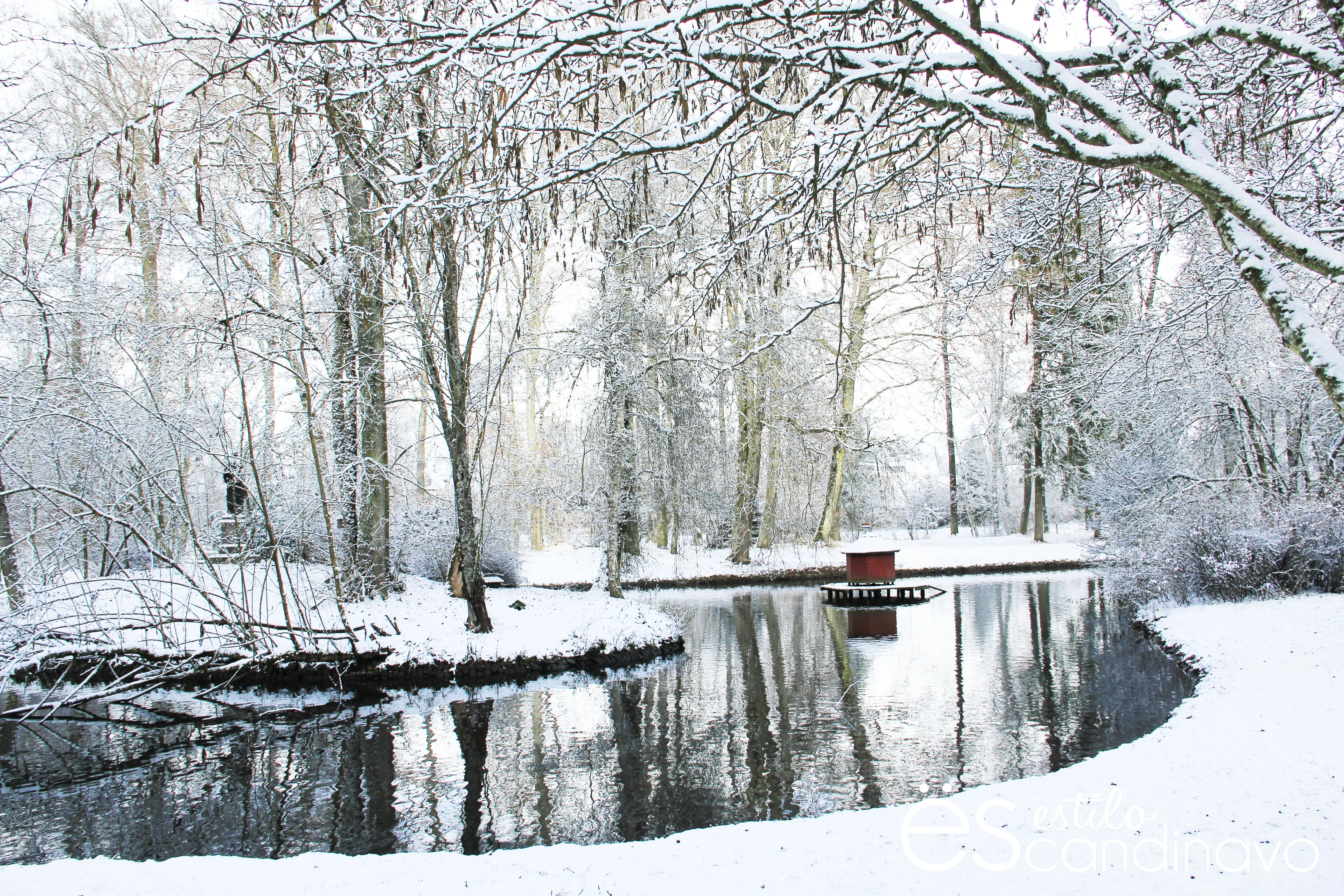 Paisajes de invierno | Estilo Escandinavo