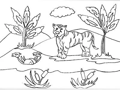 DIBUJO PARA COLOREAR DE UN TIGRE A LA ORILLA DEL LAGO