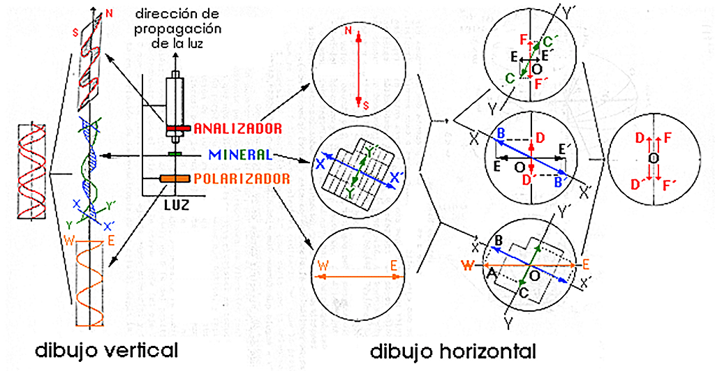 Color Int. Posicion general 2