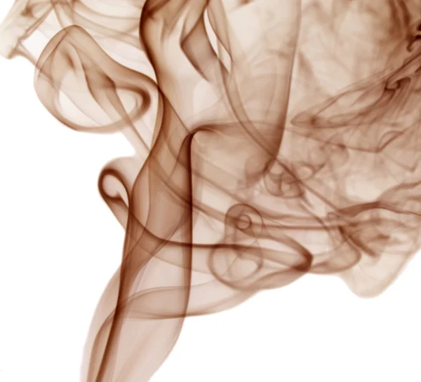 color marrón humo — Foto stock © Dr.PAS #6260480