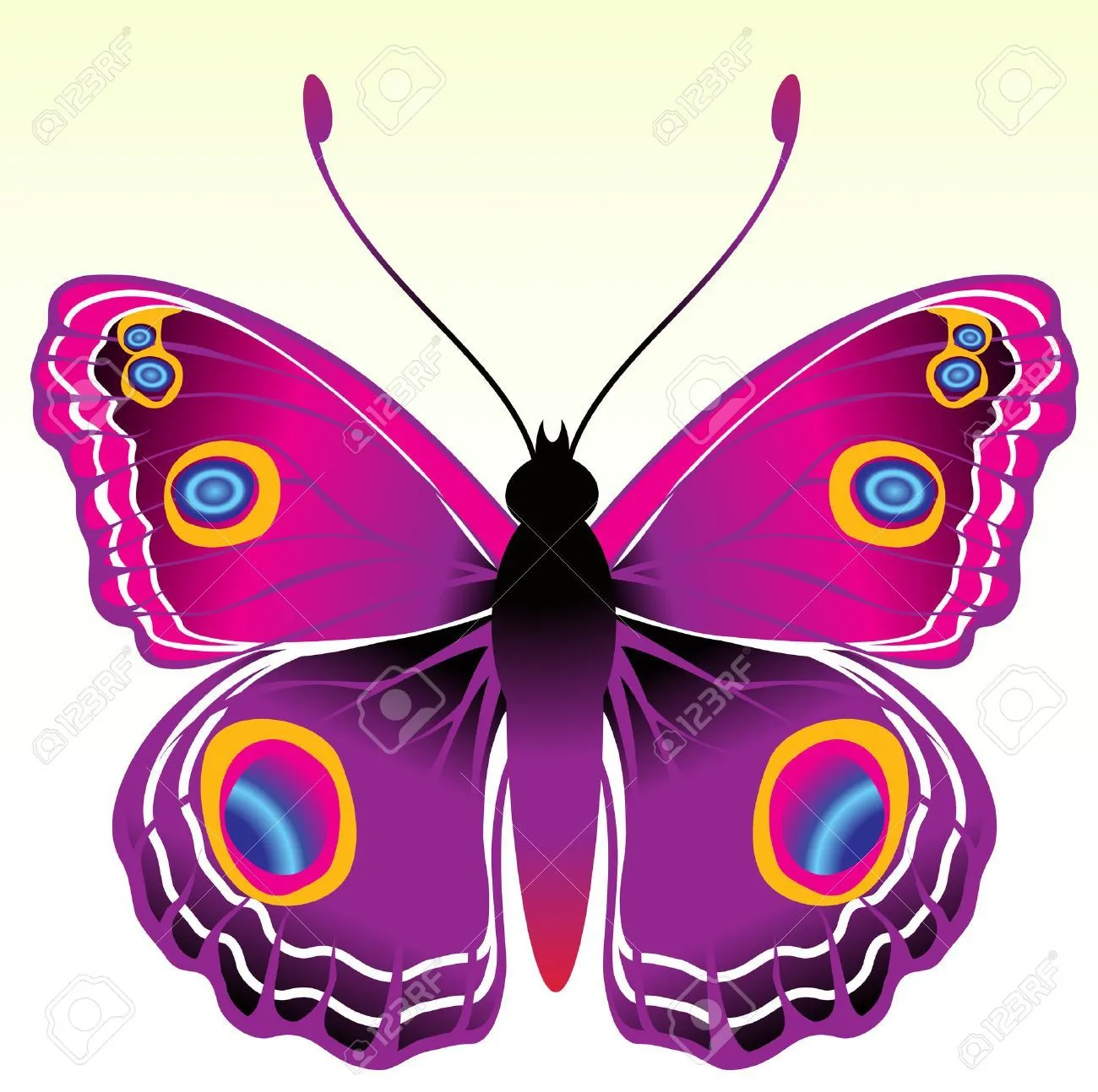 Images For > Mariposas De Colores Brillantes