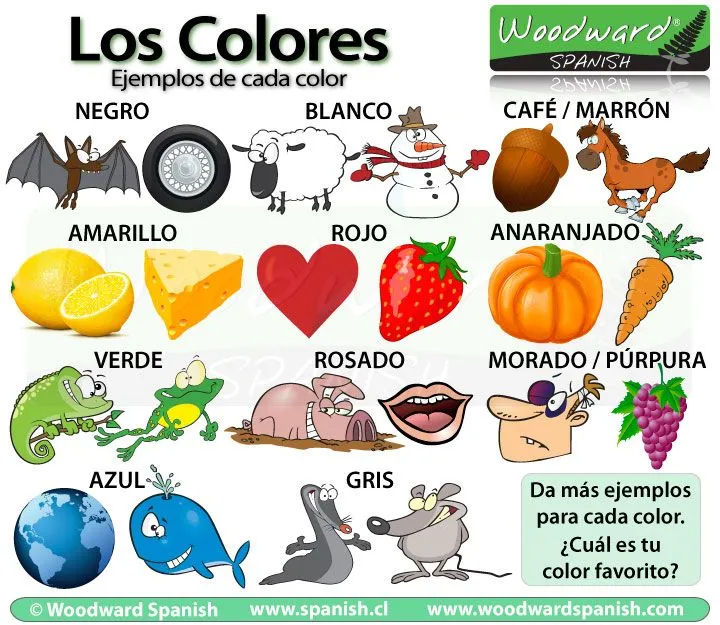 Cosas que son de color x | Woodward Spanish