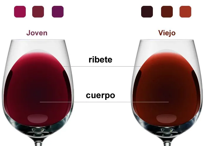 color_del_vino.jpg