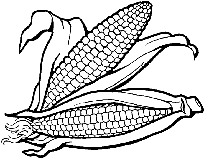 COLOREA TUS DIBUJOS: Verduras para colorear