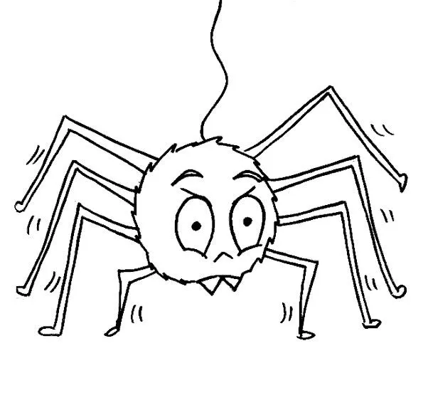 COLOREA TUS DIBUJOS: Animales para pintar